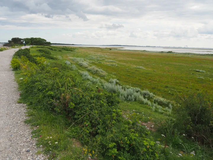 Halshuisene + Enebaerodde Beach (Denemarken)